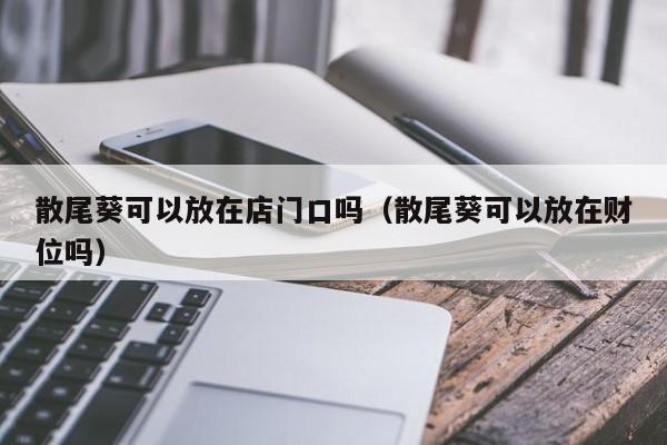 散尾葵可以放在店门口吗（散尾葵可以放在财位吗） 